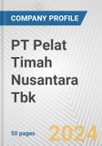 PT Pelat Timah Nusantara Tbk Fundamental Company Report Including Financial, SWOT, Competitors and Industry Analysis- Product Image