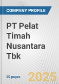 PT Pelat Timah Nusantara Tbk Fundamental Company Report Including Financial, SWOT, Competitors and Industry Analysis- Product Image