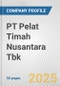 PT Pelat Timah Nusantara Tbk Fundamental Company Report Including Financial, SWOT, Competitors and Industry Analysis - Product Thumbnail Image