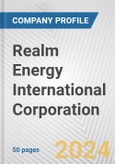 Realm Energy International Corporation Fundamental Company Report Including Financial, SWOT, Competitors and Industry Analysis- Product Image