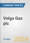 Volga Gas plc Fundamental Company Report Including Financial, SWOT, Competitors and Industry Analysis - Product Thumbnail Image