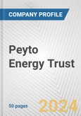 Peyto Energy Trust Fundamental Company Report Including Financial, SWOT, Competitors and Industry Analysis- Product Image