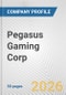 Pegasus Gaming Corp. Fundamental Company Report Including Financial, SWOT, Competitors and Industry Analysis - Product Thumbnail Image