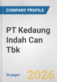 PT Kedaung Indah Can Tbk Fundamental Company Report Including Financial, SWOT, Competitors and Industry Analysis- Product Image