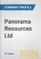 Panorama Resources Ltd Fundamental Company Report Including Financial, SWOT, Competitors and Industry Analysis - Product Thumbnail Image