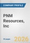 PNM Resources, Inc. Fundamental Company Report Including Financial, SWOT, Competitors and Industry Analysis - Product Thumbnail Image
