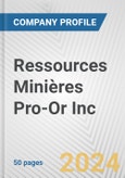 Ressources Minières Pro-Or Inc. Fundamental Company Report Including Financial, SWOT, Competitors and Industry Analysis- Product Image