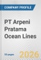 PT Arpeni Pratama Ocean Lines Fundamental Company Report Including Financial, SWOT, Competitors and Industry Analysis - Product Thumbnail Image