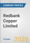 Redbank Copper Limited. Fundamental Company Report Including Financial, SWOT, Competitors and Industry Analysis - Product Thumbnail Image