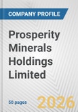 Prosperity Minerals Holdings Limited Fundamental Company Report Including Financial, SWOT, Competitors and Industry Analysis- Product Image
