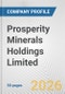 Prosperity Minerals Holdings Limited Fundamental Company Report Including Financial, SWOT, Competitors and Industry Analysis - Product Thumbnail Image