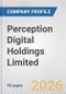 Perception Digital Holdings Limited Fundamental Company Report Including Financial, SWOT, Competitors and Industry Analysis - Product Thumbnail Image