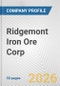 Ridgemont Iron Ore Corp. Fundamental Company Report Including Financial, SWOT, Competitors and Industry Analysis - Product Thumbnail Image