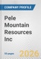 Pele Mountain Resources Inc. Fundamental Company Report Including Financial, SWOT, Competitors and Industry Analysis - Product Thumbnail Image