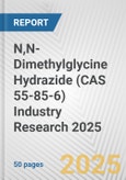 N,N-Dimethylglycine Hydrazide (CAS 55-85-6) Industry Research 2025: Global and Regional Market Trends 2019-2024 and Forecast to 2029- Product Image