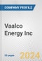 Vaalco Energy Inc. Fundamental Company Report Including Financial, SWOT, Competitors and Industry Analysis - Product Thumbnail Image