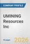 UMINING Resources Inc. Fundamental Company Report Including Financial, SWOT, Competitors and Industry Analysis - Product Thumbnail Image