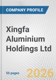 Xingfa Aluminium Holdings Ltd. Fundamental Company Report Including Financial, SWOT, Competitors and Industry Analysis- Product Image
