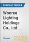 Wooree Lighting Holdings Co., Ltd. Fundamental Company Report Including Financial, SWOT, Competitors and Industry Analysis - Product Thumbnail Image