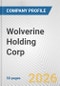 Wolverine Holding Corp. Fundamental Company Report Including Financial, SWOT, Competitors and Industry Analysis - Product Thumbnail Image