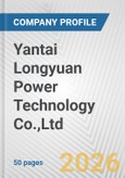 Yantai Longyuan Power Technology Co.,Ltd. Fundamental Company Report Including Financial, SWOT, Competitors and Industry Analysis- Product Image