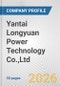 Yantai Longyuan Power Technology Co.,Ltd. Fundamental Company Report Including Financial, SWOT, Competitors and Industry Analysis - Product Thumbnail Image