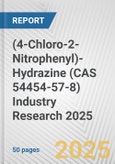 (4-Chloro-2-Nitrophenyl)-Hydrazine (CAS 54454-57-8) Industry Research 2025: Global and Regional Market Trends 2019-2024 and Forecast to 2029- Product Image