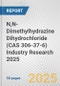 N,N-Dimethylhydrazine Dihydrochloride (CAS 306-37-6) Industry Research 2025: Global and Regional Market Trends 2019-2024 and Forecast to 2029 - Product Image
