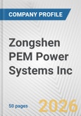 Zongshen PEM Power Systems Inc. Fundamental Company Report Including Financial, SWOT, Competitors and Industry Analysis- Product Image