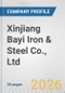 Xinjiang Bayi Iron & Steel Co., Ltd. Fundamental Company Report Including Financial, SWOT, Competitors and Industry Analysis - Product Thumbnail Image