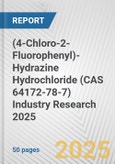 (4-Chloro-2-Fluorophenyl)-Hydrazine Hydrochloride (CAS 64172-78-7) Industry Research 2025: Global and Regional Market Trends 2019-2024 and Forecast to 2029- Product Image