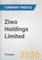 Ziwo Holdings Limited Fundamental Company Report Including Financial, SWOT, Competitors and Industry Analysis - Product Thumbnail Image