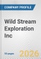 Wild Stream Exploration Inc. Fundamental Company Report Including Financial, SWOT, Competitors and Industry Analysis - Product Thumbnail Image