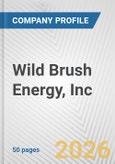 Wild Brush Energy, Inc. Fundamental Company Report Including Financial, SWOT, Competitors and Industry Analysis- Product Image