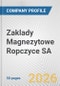 Zaklady Magnezytowe Ropczyce SA Fundamental Company Report Including Financial, SWOT, Competitors and Industry Analysis - Product Thumbnail Image