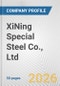 XiNing Special Steel Co., Ltd. Fundamental Company Report Including Financial, SWOT, Competitors and Industry Analysis - Product Thumbnail Image