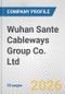 Wuhan Sante Cableways Group Co. Ltd Fundamental Company Report Including Financial, SWOT, Competitors and Industry Analysis - Product Thumbnail Image