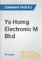 Ya Horng Electronic M Bhd Fundamental Company Report Including Financial, SWOT, Competitors and Industry Analysis - Product Thumbnail Image