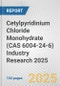 Cetylpyridinium Chloride Monohydrate (CAS 6004-24-6) Industry Research 2025: Global and Regional Market Trends 2019-2024 and Forecast to 2029 - Product Image