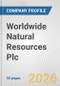 Worldwide Natural Resources Plc Fundamental Company Report Including Financial, SWOT, Competitors and Industry Analysis - Product Thumbnail Image