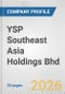 YSP Southeast Asia Holdings Bhd Fundamental Company Report Including Financial, SWOT, Competitors and Industry Analysis - Product Thumbnail Image