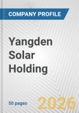 Yangden Solar Holding Fundamental Company Report Including Financial, SWOT, Competitors and Industry Analysis- Product Image
