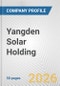 Yangden Solar Holding Fundamental Company Report Including Financial, SWOT, Competitors and Industry Analysis - Product Thumbnail Image