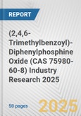 (2,4,6-Trimethylbenzoyl)-Diphenylphosphine Oxide (CAS 75980-60-8) Industry Research 2025: Global and Regional Market Trends 2019-2024 and Forecast to 2029- Product Image