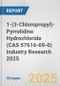 1-(3-Chloropropyl)-Pyrrolidine Hydrochloride (CAS 57616-69-0) Industry Research 2025: Global and Regional Market Trends 2019-2024 and Forecast to 2029 - Product Thumbnail Image