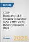 1,3,5-Dioxolane/1,3,5-Trioxane Copolymer (CAS 24969-26-4) Industry Research 2025: Global and Regional Market Trends 2019-2024 and Forecast to 2029 - Product Thumbnail Image