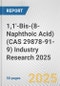 1,1'-Bis-(8-Naphthoic Acid) (CAS 29878-91-9) Industry Research 2025: Global and Regional Market Trends 2019-2024 and Forecast to 2029 - Product Thumbnail Image