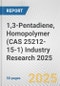1,3-Pentadiene, Homopolymer (CAS 25212-15-1) Industry Research 2025: Global and Regional Market Trends 2019-2024 and Forecast to 2029 - Product Thumbnail Image