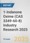 1-Indanone Oxime (CAS 3349-60-8) Industry Research 2025: Global and Regional Market Trends 2019-2024 and Forecast to 2029 - Product Image