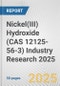 Nickel(III) Hydroxide (CAS 12125-56-3) Industry Research 2025: Global and Regional Market Trends 2019-2024 and Forecast to 2029 - Product Image